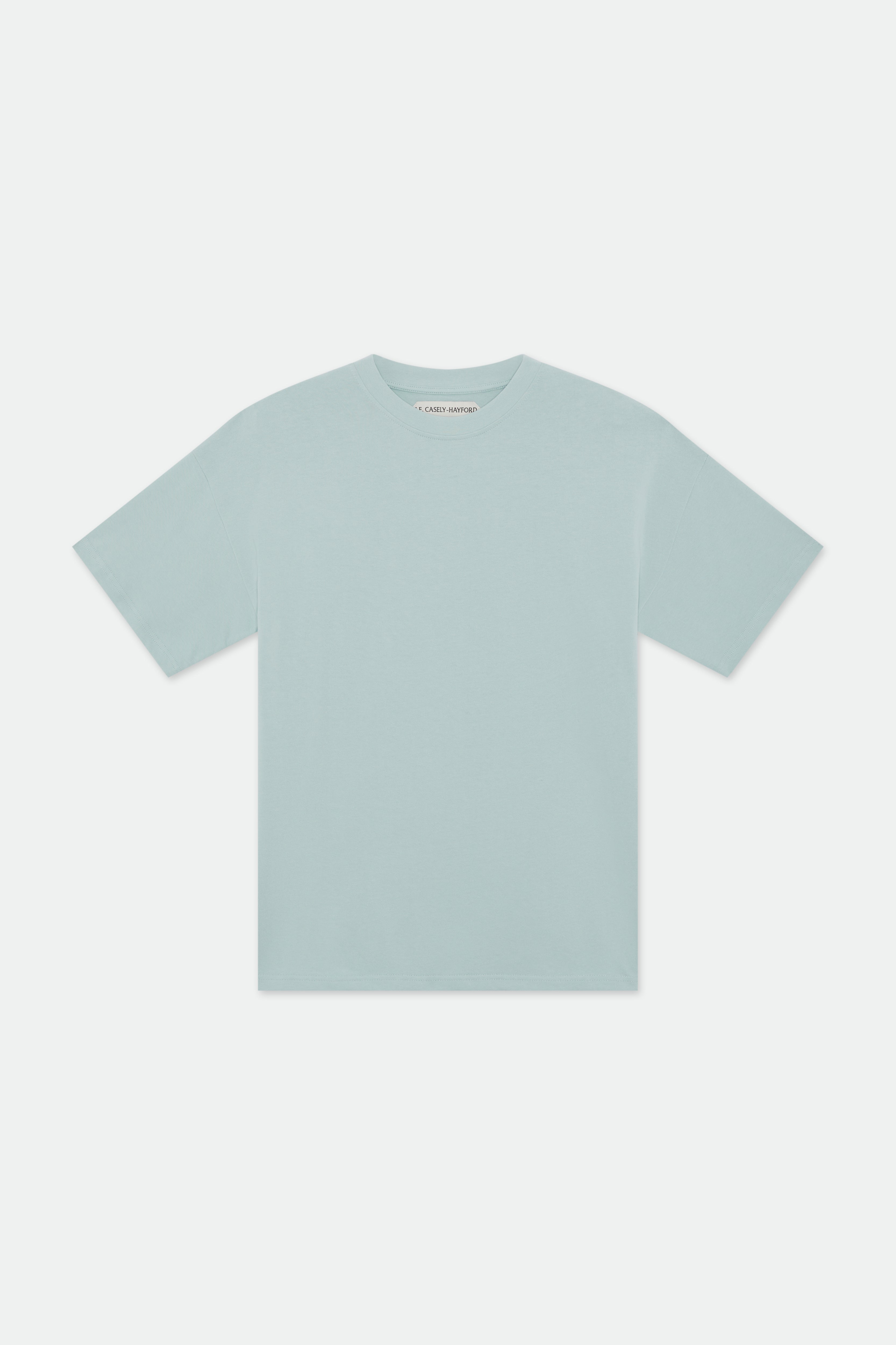 Evren Mint Oversized Cotton T-shirt