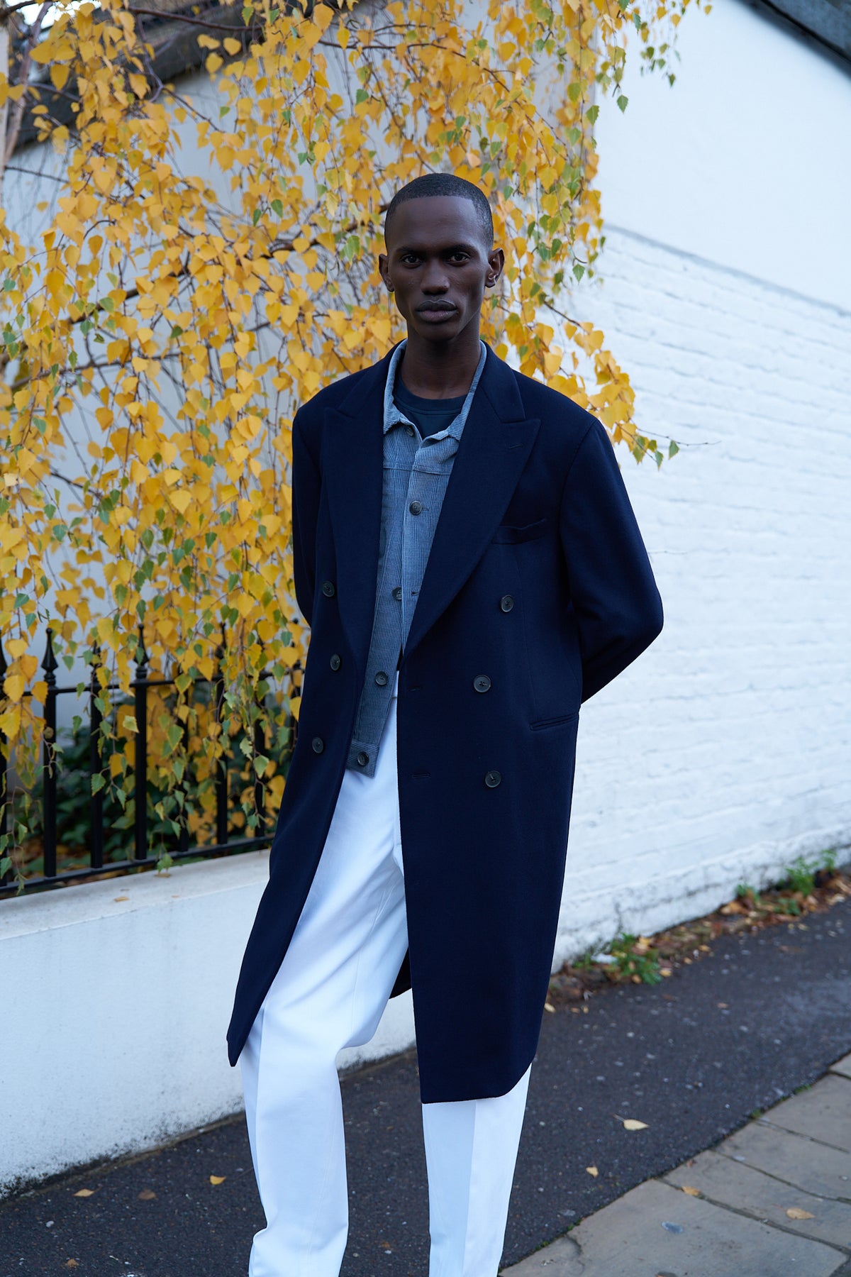 Darius Navy Loro Piana Peak Lapel Coat